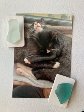 Genuine Handmade Seaglass Magnets (set of 2)